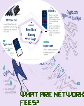 What fees does cryptocom charge